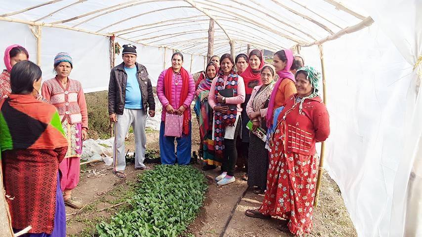 खजुरा साकिनी क्रस  जातका कुखुराहरु